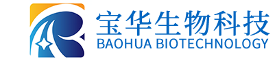 时博在线注册_时博(中国)